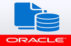 Oracle数据库管理工具有哪些?-北京江南网页版公司