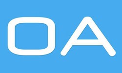软件外包公司、OA系统开发功能有哪些？费用是多少-江南网页版公司[北京江南网页版]