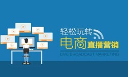 江南网页版公司、做一个直播系统江南网页版需要多少钱-北京软件外包公司