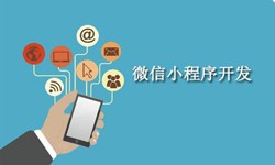 电商小程序开发重要的几个参考-北京江南网页版公司