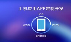 APP开发市场上常见问题分析-北京江南网页版公司